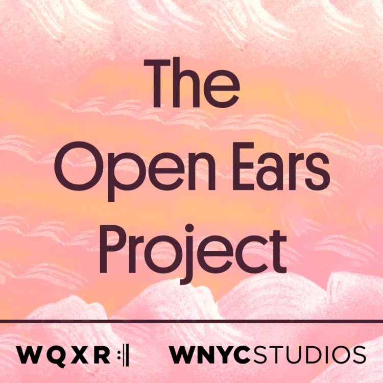 The Open Ears Project — cover