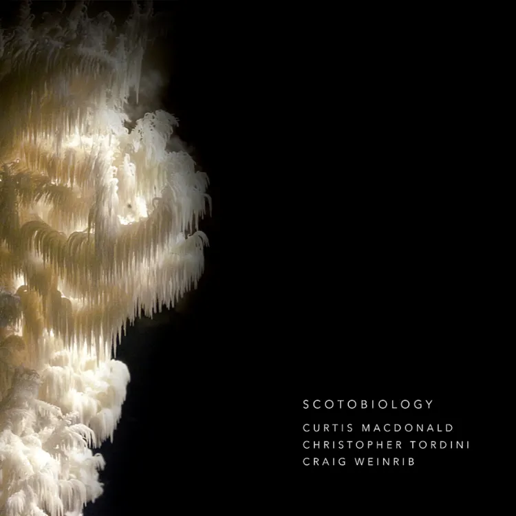 Scotobiology — cover